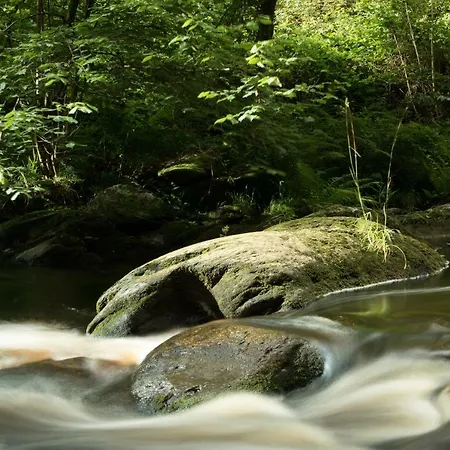 Vennblick דירה מונשאו