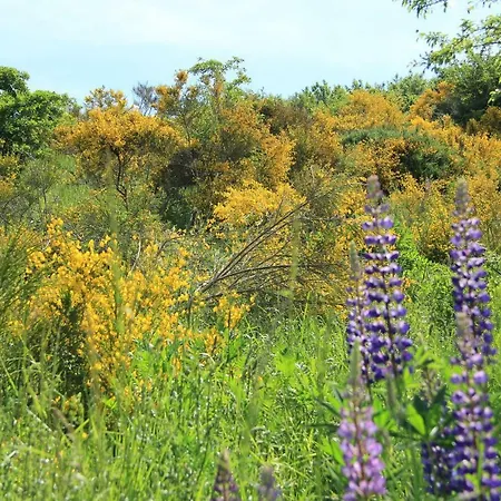 Vennblick Apartment *