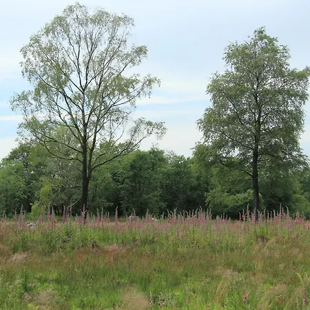 Vennblick * Monschau