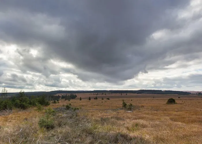 Vennblick Appartement