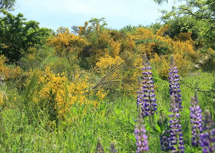 Vennblick Appartement *