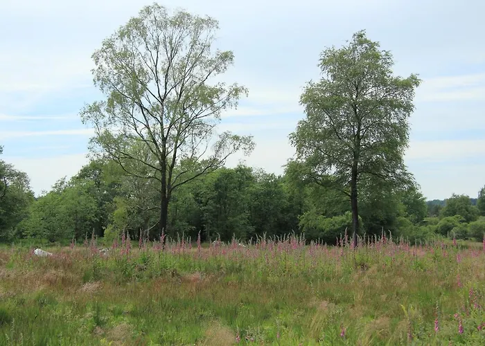 Vennblick * Monschau