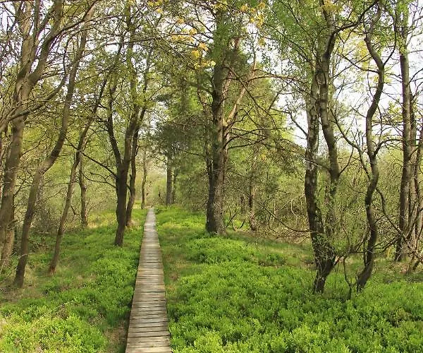 Vennblick Apartamento *